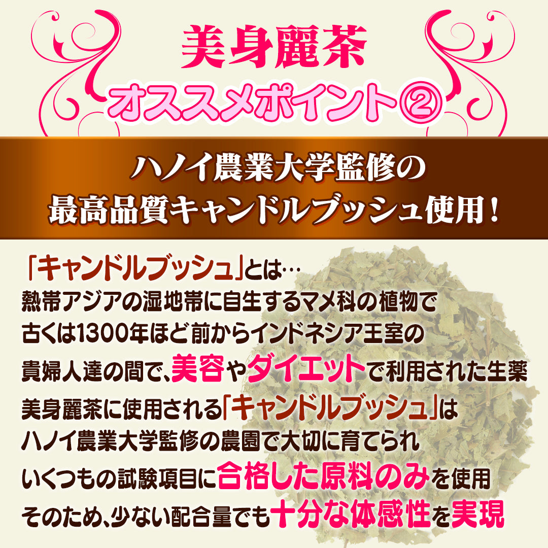 美身麗茶（30包／個包装）
