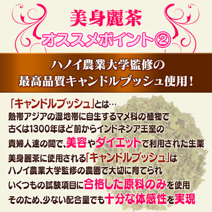 美身麗茶（30包／個包装）